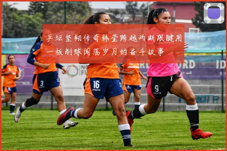 乒坛坚韧传奇韩莹跨越两断跟腱用一板削球闯荡岁月的奋斗故事